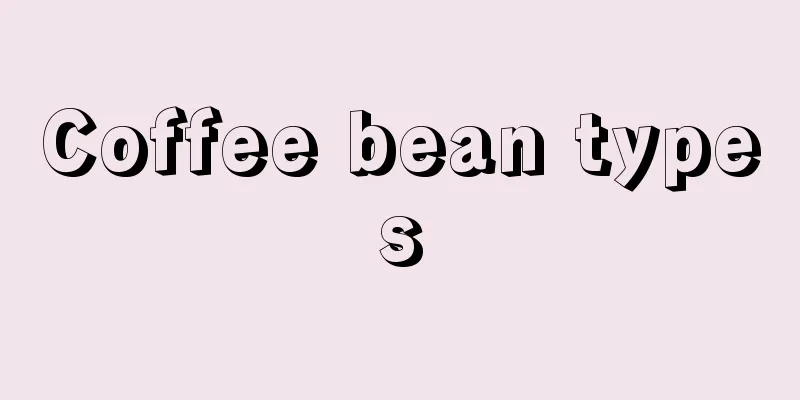 Coffee bean types