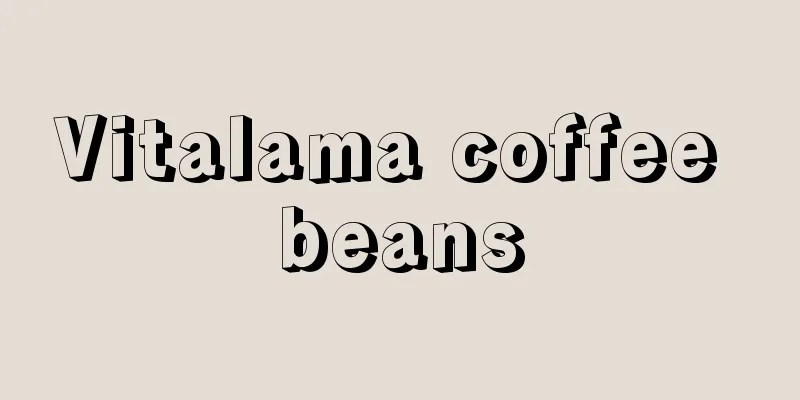 Vitalama coffee beans