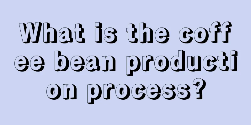 What is the coffee bean production process?