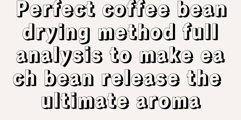 Perfect coffee bean drying method full analysis to make each bean release the ultimate aroma