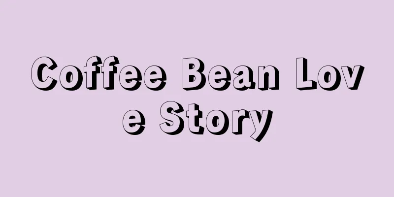 Coffee Bean Love Story