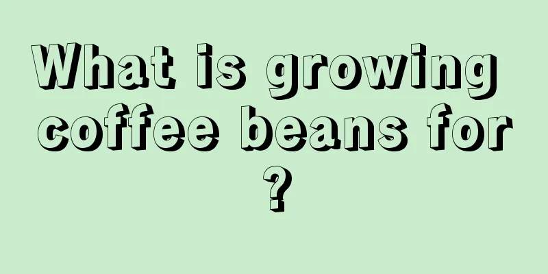 What is growing coffee beans for?