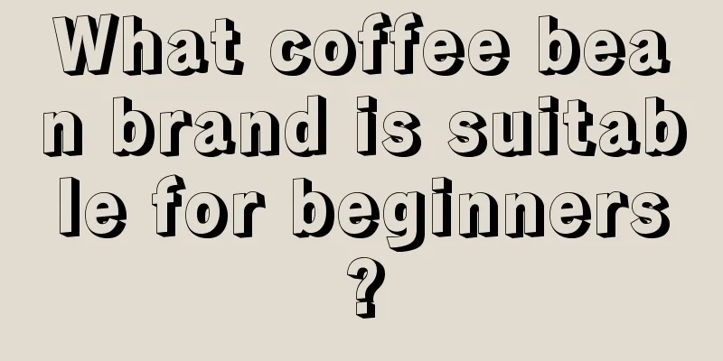 What coffee bean brand is suitable for beginners?