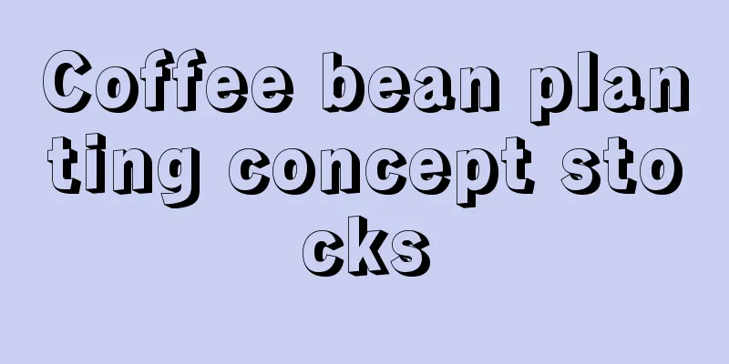 Coffee bean planting concept stocks