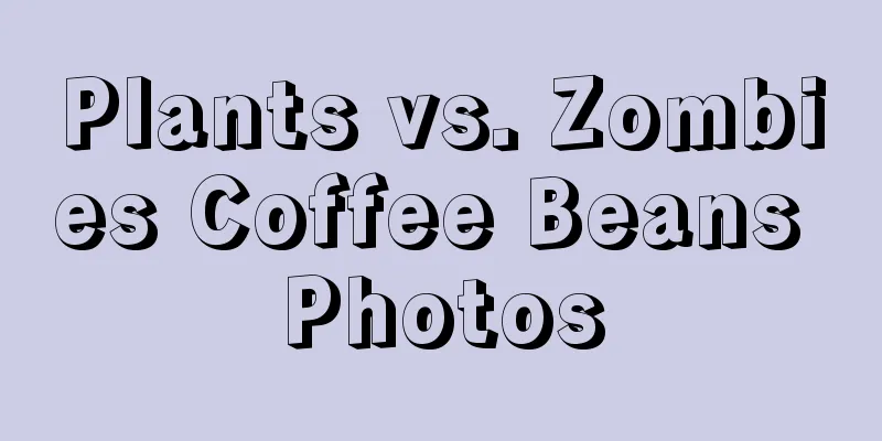 Plants vs. Zombies Coffee Beans Photos