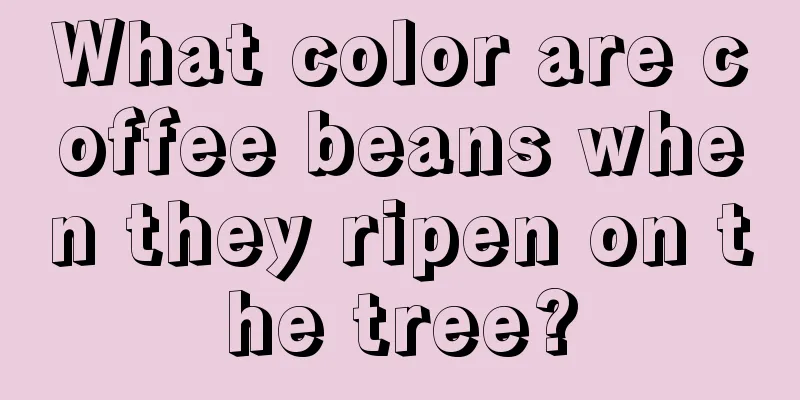 What color are coffee beans when they ripen on the tree?