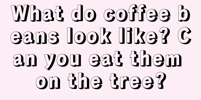 What do coffee beans look like? Can you eat them on the tree?