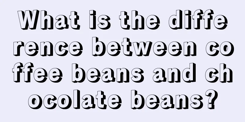 What is the difference between coffee beans and chocolate beans?