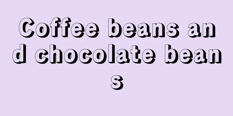 Coffee beans and chocolate beans