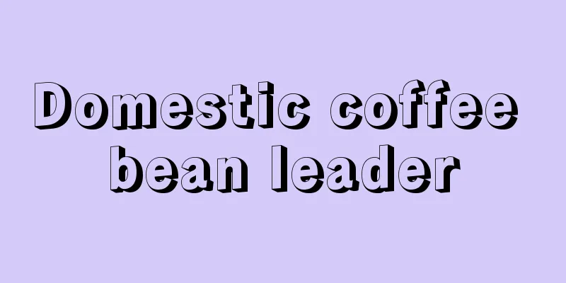 Domestic coffee bean leader