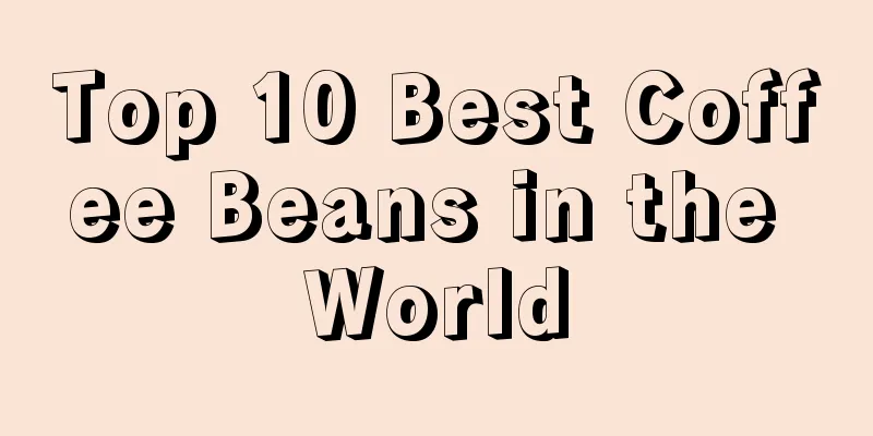 Top 10 Best Coffee Beans in the World