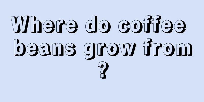 Where do coffee beans grow from?