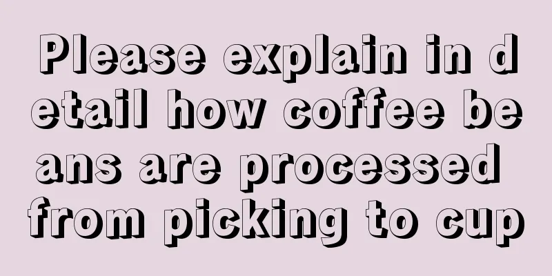 Please explain in detail how coffee beans are processed from picking to cup