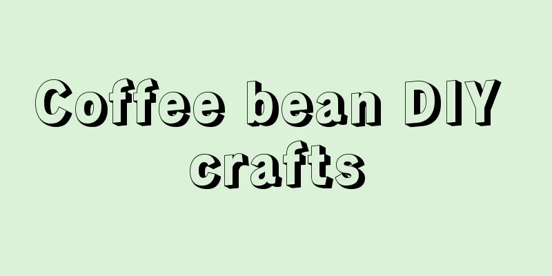 Coffee bean DIY crafts