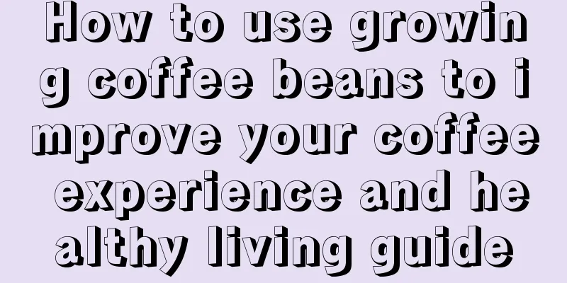 How to use growing coffee beans to improve your coffee experience and healthy living guide