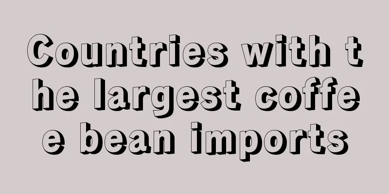 Countries with the largest coffee bean imports