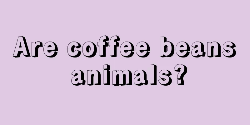 Are coffee beans animals?