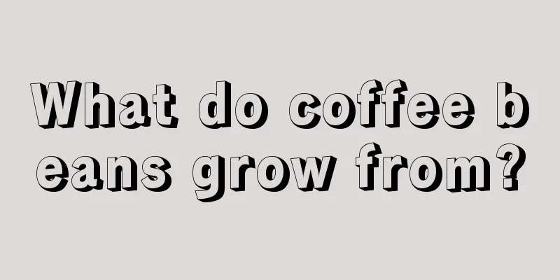 What do coffee beans grow from?