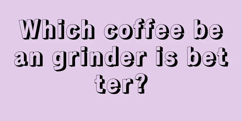 Which coffee bean grinder is better?