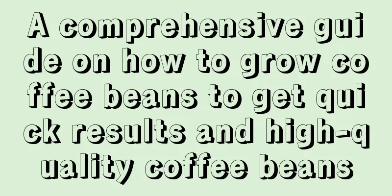 A comprehensive guide on how to grow coffee beans to get quick results and high-quality coffee beans