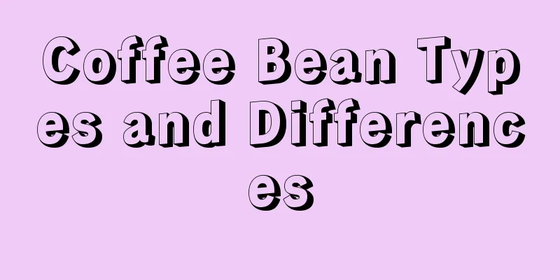 Coffee Bean Types and Differences