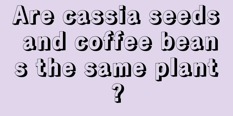 Are cassia seeds and coffee beans the same plant?