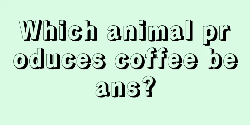 Which animal produces coffee beans?