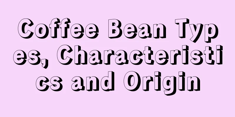 Coffee Bean Types, Characteristics and Origin