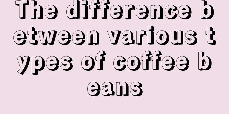 The difference between various types of coffee beans