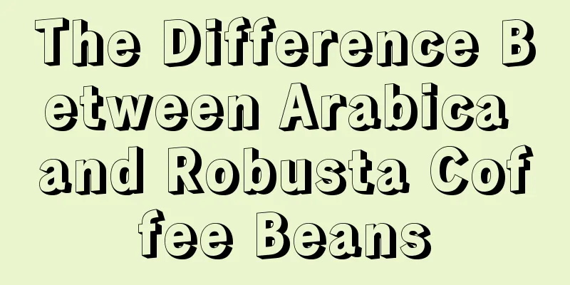 The Difference Between Arabica and Robusta Coffee Beans