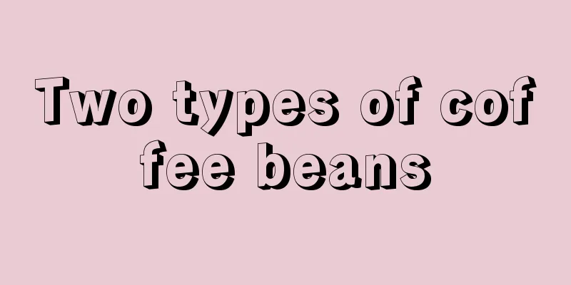 Two types of coffee beans