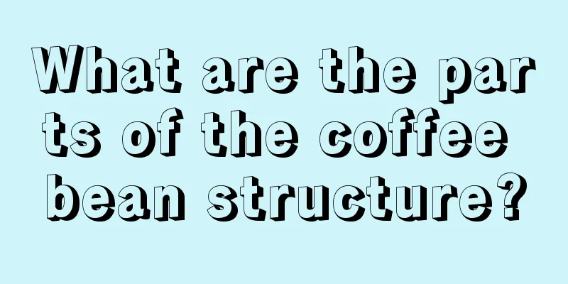 What are the parts of the coffee bean structure?