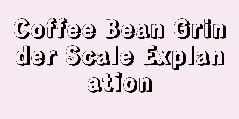 Coffee Bean Grinder Scale Explanation