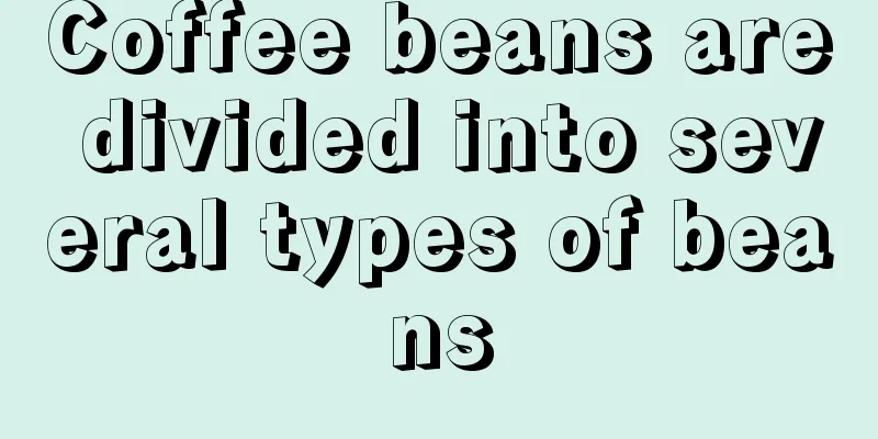 Coffee beans are divided into several types of beans