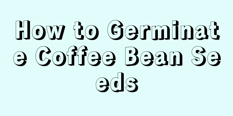 How to Germinate Coffee Bean Seeds