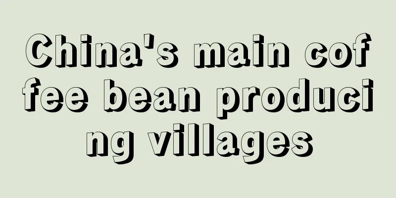 China's main coffee bean producing villages