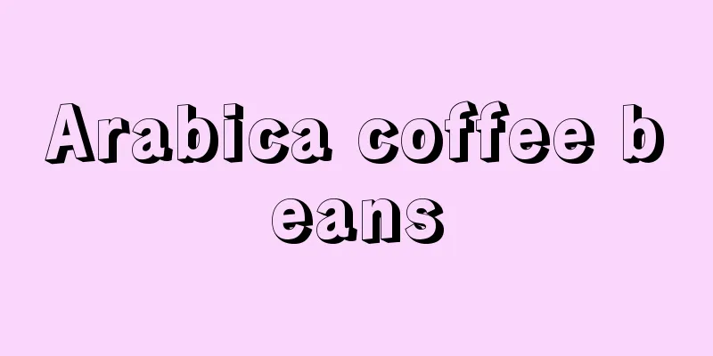 Arabica coffee beans