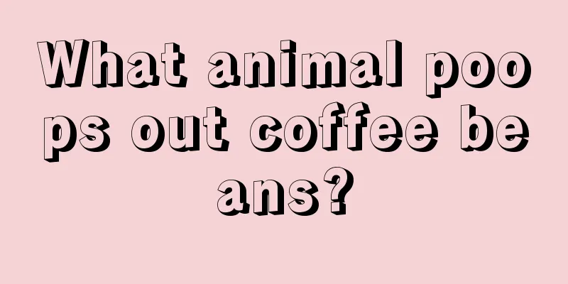 What animal poops out coffee beans?