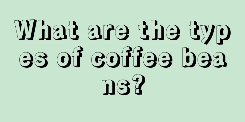 What are the types of coffee beans?