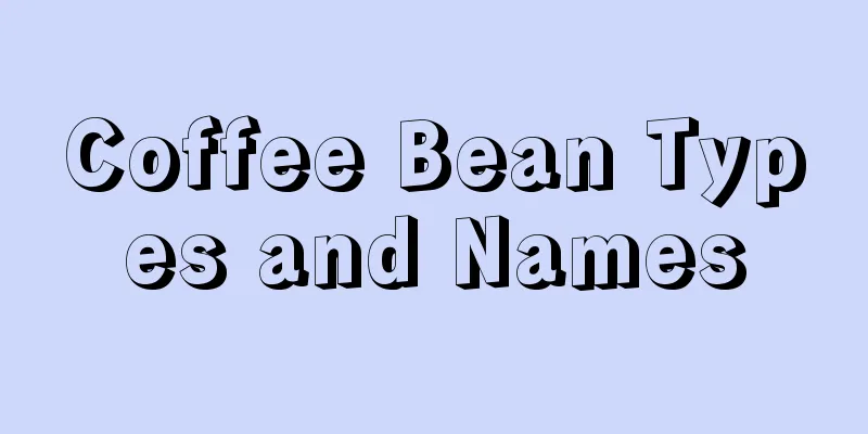 Coffee Bean Types and Names