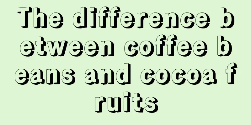 The difference between coffee beans and cocoa fruits