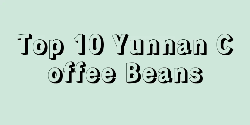 Top 10 Yunnan Coffee Beans