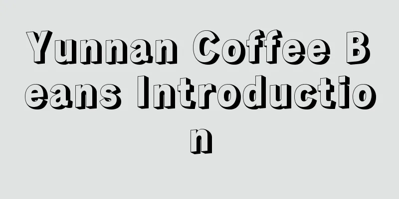 Yunnan Coffee Beans Introduction