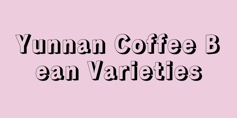 Yunnan Coffee Bean Varieties