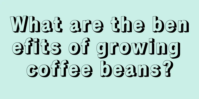 What are the benefits of growing coffee beans?