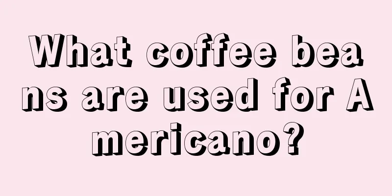 What coffee beans are used for Americano?