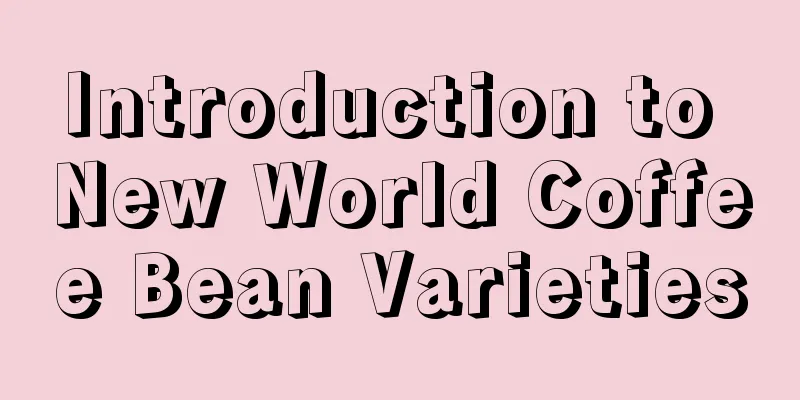 Introduction to New World Coffee Bean Varieties