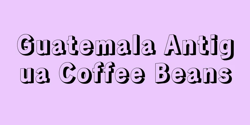 Guatemala Antigua Coffee Beans