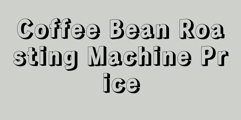 Coffee Bean Roasting Machine Price