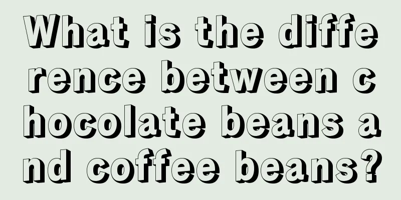 What is the difference between chocolate beans and coffee beans?